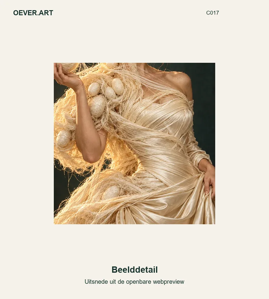 Silkworm to couture — beelddetail uit openbare webpreview