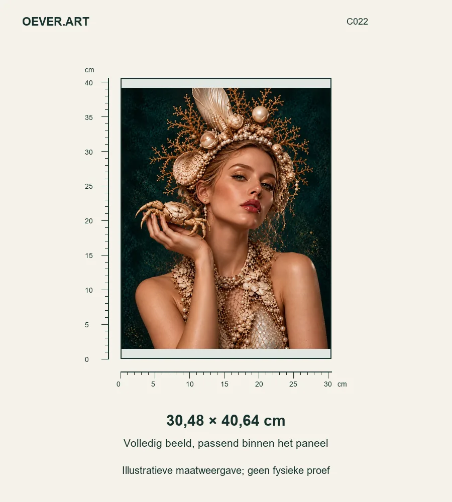 Golden Coral Sea Queen — illustratieve maatweergave 30,48 × 40,64 cm; geen fysieke proef