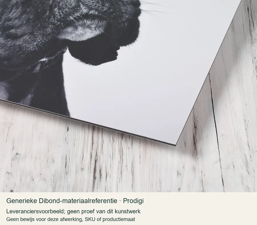 Generieke Dibond-materiaalreferentie van Prodigi; leveranciersvoorbeeld met ander beeld, geen proef van dit kunstwerk of deze afwerking